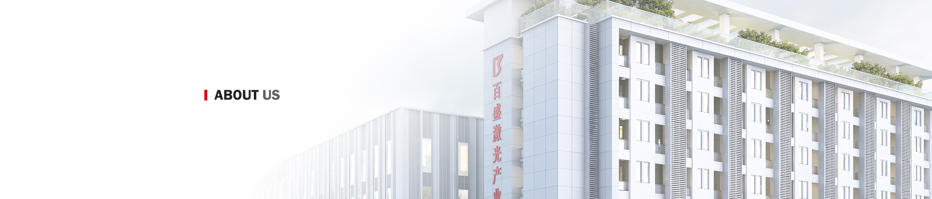 Company Introduction